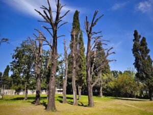 AP1GczNHnyq5wxzXFKgvm4-JmqnEENmY